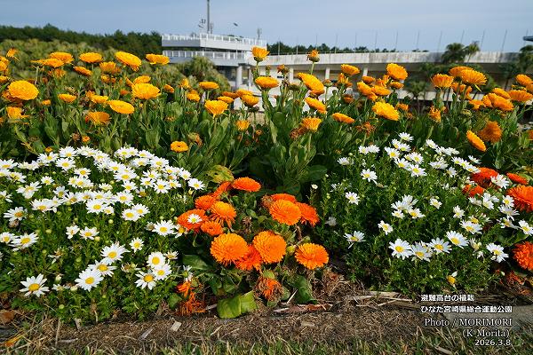 �������νդο��ϡʤҤʤ��ܺ긩���籿ư�����