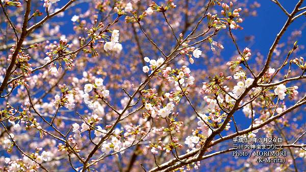 �裶�� ��������ڤޤĤ�(ʿ��31ǯ)