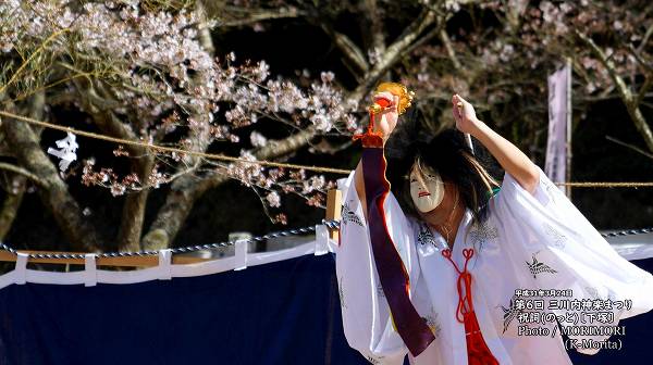 �˻�(�Τä�)�̲��͡͡���������ڤޤĤ�(ʿ��31ǯ)