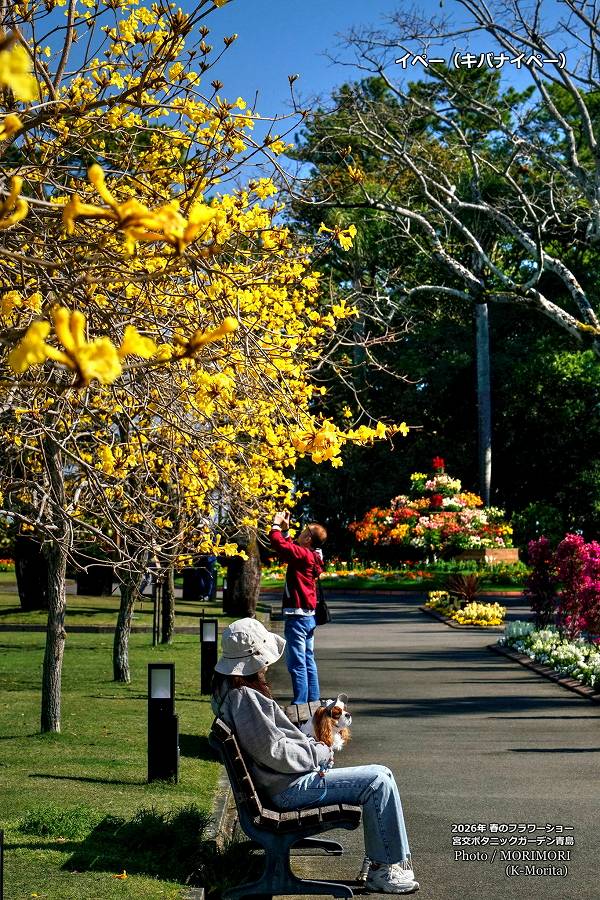 ���Хʥ��ڡ����ܸ�ܥ��˥å������ǥ�2026ǯ�դΥե����硼