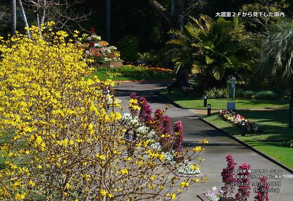 宮交ボタニックガーデン 大温室の2Fから見たガーデン内の景色 宮交ボタニックガーデン 大温室の2Fから見たガーデン内の景色