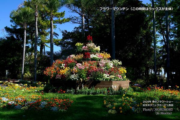 フラワーマウンテン 宮交ボタニックガーデン フラワーマウンテン 宮交ボタニックガーデン