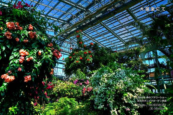 宮交ボタニックガーデン 2大温室にて 宮交ボタニックガーデン 2大温室にて