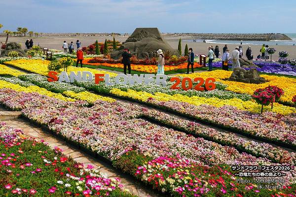 サンドフラワーフェスタ2026 サンドフラワーフェスタ2026