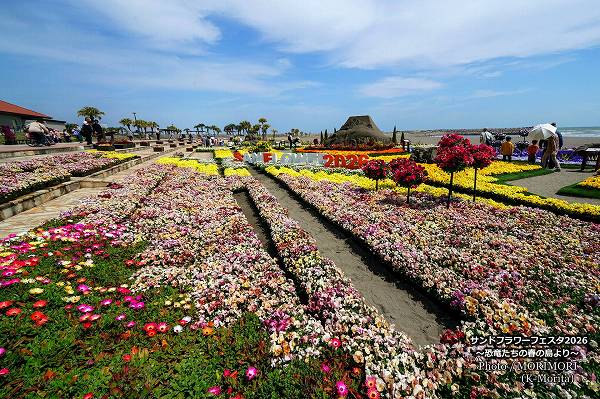 サンドフラワーフェスタ2026 サンドフラワーフェスタ2026