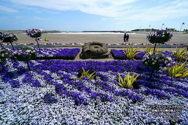 サンドフラワーフェスタ2026 サンドフラワーフェスタ2026