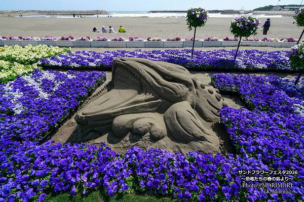 サンドフラワーフェスタ2026 サンドフラワーフェスタ2026