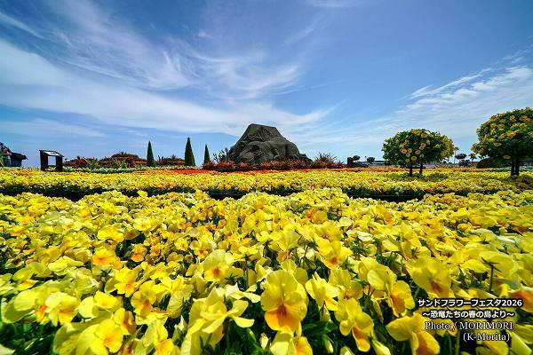 サンドフラワーフェスタ2026 サンドフラワーフェスタ2026