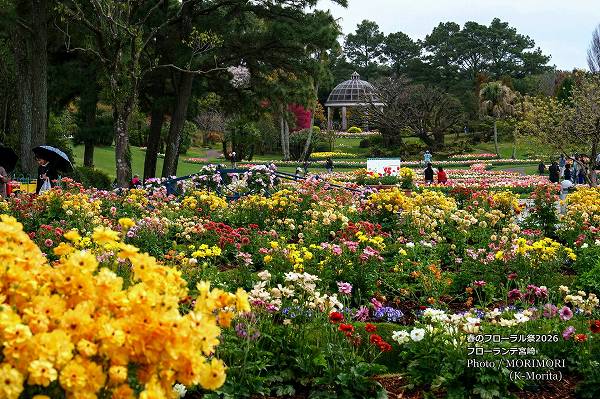 ラックス フローランテ宮崎春のフローラル祭2026 ラックス フローランテ宮崎春のフローラル祭2026