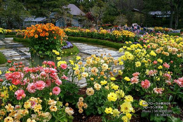 ラックス フローランテ宮崎春のフローラル祭2026 ラックス フローランテ宮崎春のフローラル祭2026