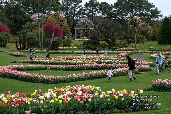 チューリップ フローランテ宮崎春のフローラル祭2026 チューリップ フローランテ宮崎春のフローラル祭2026