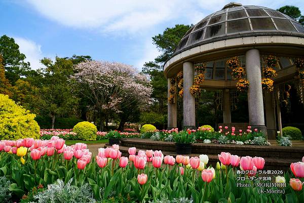 チューリップ フローランテ宮崎春のフローラル祭2026 チューリップ フローランテ宮崎春のフローラル祭2026