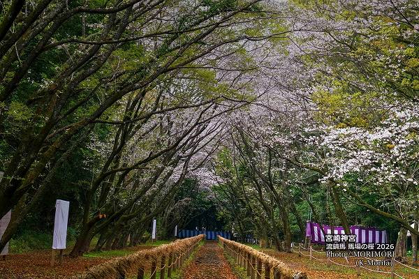 �ܺ����ήŭ���Ͼ�κ������£�ǯ��������ơ�