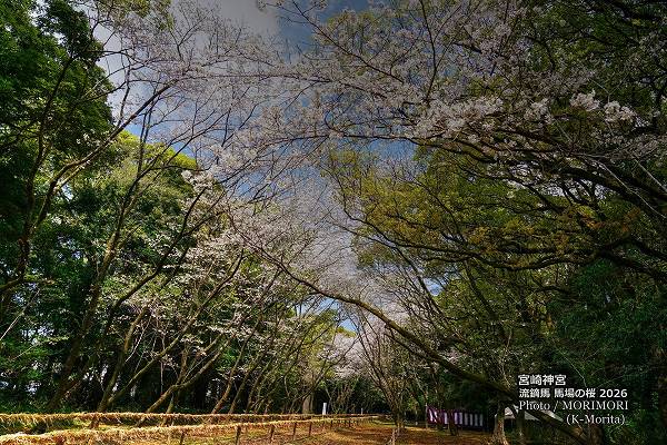 �ܺ����ήŭ���Ͼ�κ������£�ǯ��������ơ�