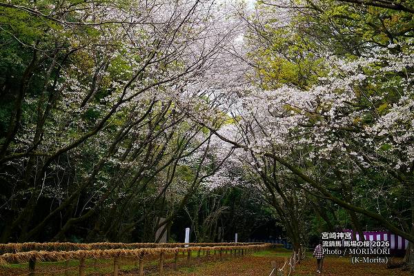 �ܺ����ήŭ���Ͼ�κ������£�ǯ��������ơ�