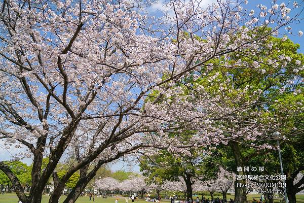 �ܺ긩Ω����ʸ������������κ�