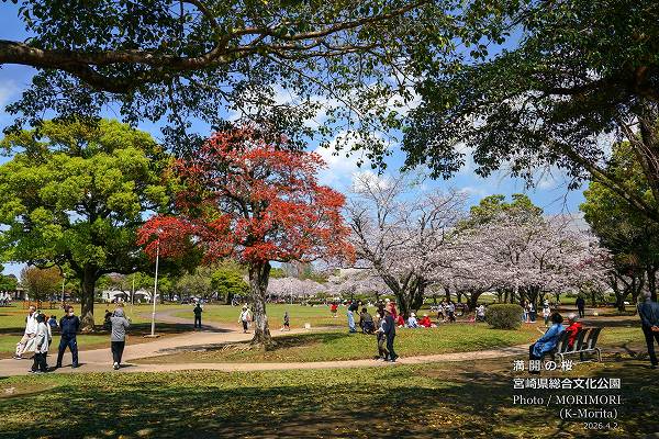 �ܺ긩Ω����ʸ������������κ�