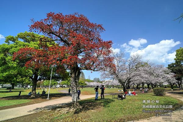 �ܺ긩Ω����ʸ������������κ�