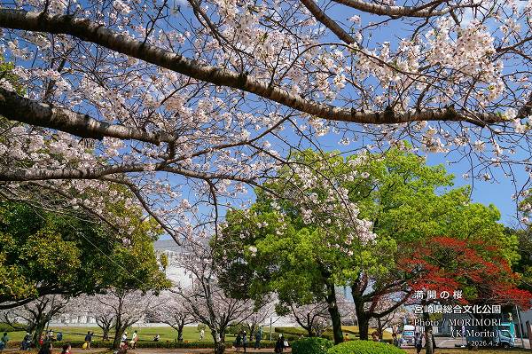 �ܺ긩Ω����ʸ������������κ�