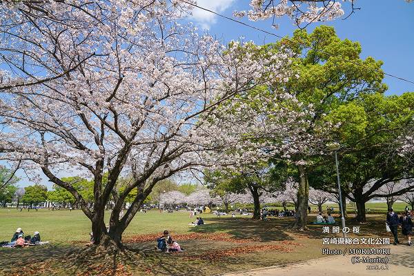 �ܺ긩Ω����ʸ������������κ�