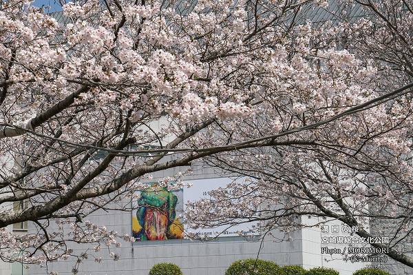 �ܺ긩Ω����ʸ������������κ�