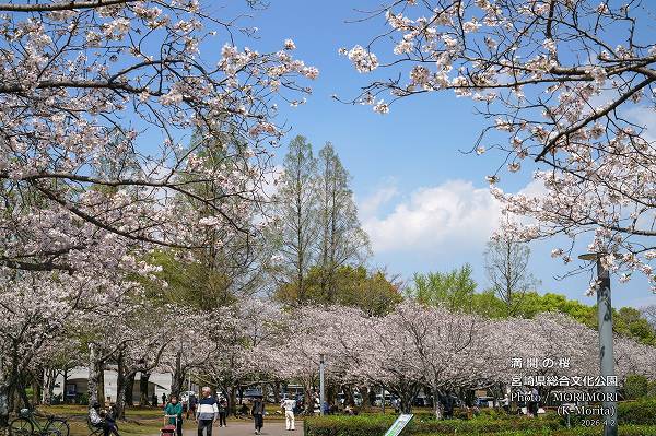 �ܺ긩Ω����ʸ������������κ�