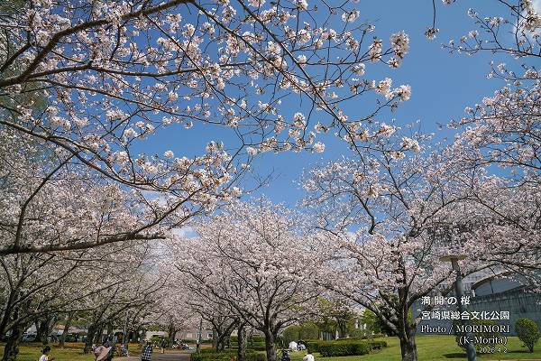 �ܺ긩Ω����ʸ������������κ�