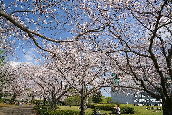 �ܺ긩Ω����ʸ������������κ�