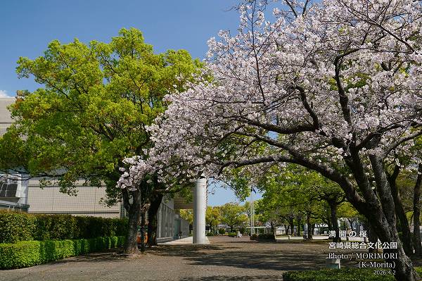 �ܺ긩Ω����ʸ������������κ�