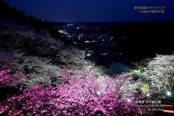 ライトアップされた天ケ城公園へ向かう坂道 ライトアップされた天ケ城公園へ向かう坂道