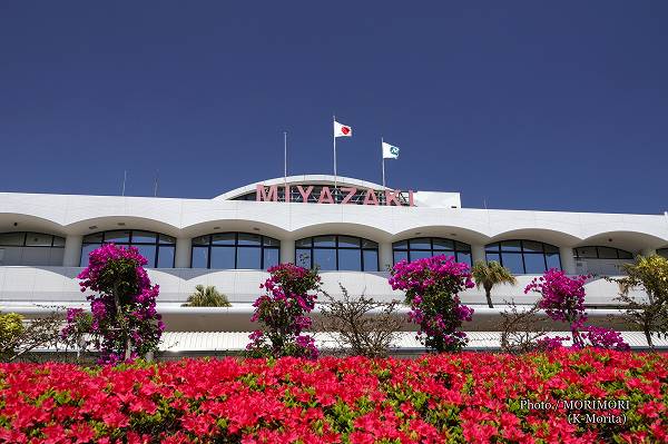 �ĥĥ��ȥ֡����󥲥�ӥꥢ�餯�ܺ����