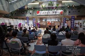 みやざきの神楽 宮崎ブゲンビリア空港で企画展 みやざきの神楽 宮崎ブゲンビリア空港で企画展