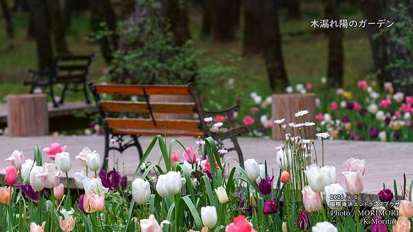 ��ϳ���ۤΥ����ǥ� 2026 (�ܺ��)