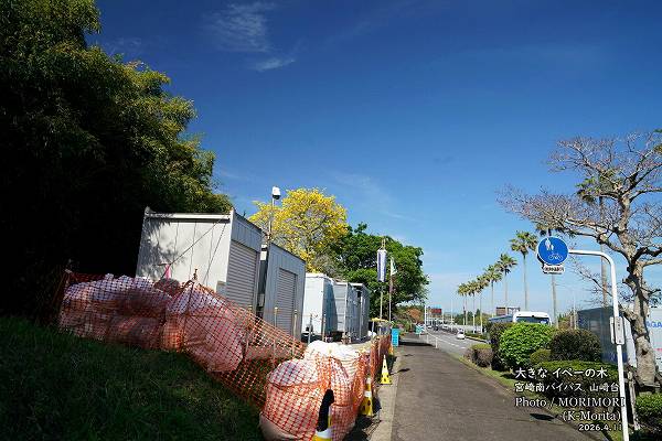 ���ڡ��ε��ڡ������β֡ʵܺ����Х��ѥ��褤��