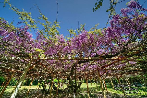 �ܺ���� �Υ��ե� 2026