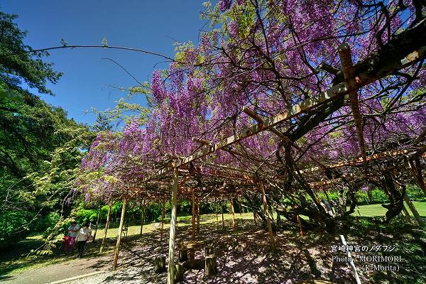 �ܺ���� �Υ��ե� 2026