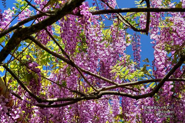 �ܺ���� �Υ��ե� 2026