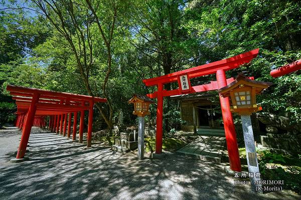 �޼Ұ�٤ȼ��ɤ��Ļ��