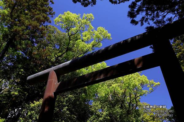 �ܺ���ܤȥ����ο���