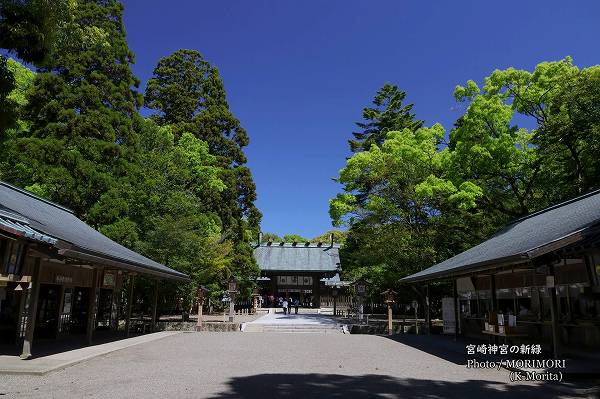 �ܺ���ܤȥ����ο���