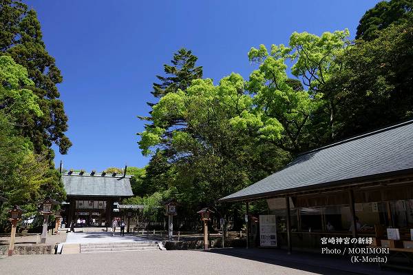 �ܺ���ܤȥ����ο���