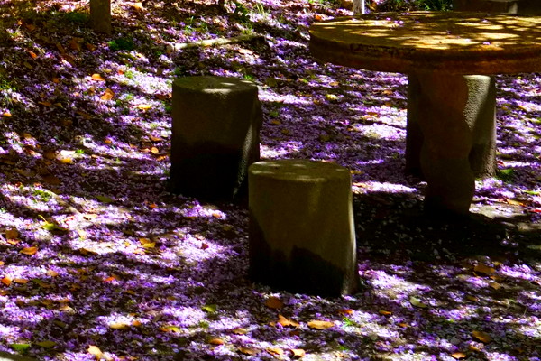 �֥�������