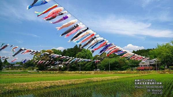 ���Ĥˡ������Τܤꡡ�ܺ긩�ھ�Į �а浭ǰͧ�������ο���