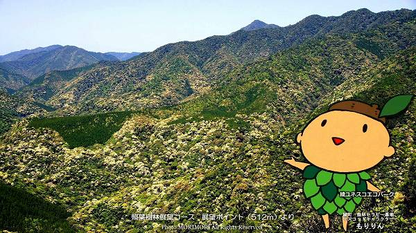 ����ͥ����ѡ��������ռ��Ӥγ���(���ռ���Ÿ˾������ Ÿ˾�ݥ���Ȥ�껣��)