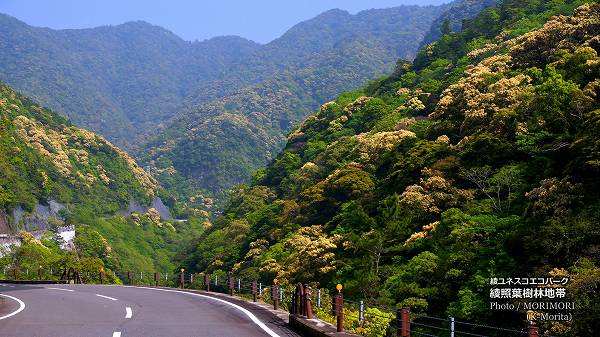 ���ξ��ռ������ӡ̸�ƻ26���