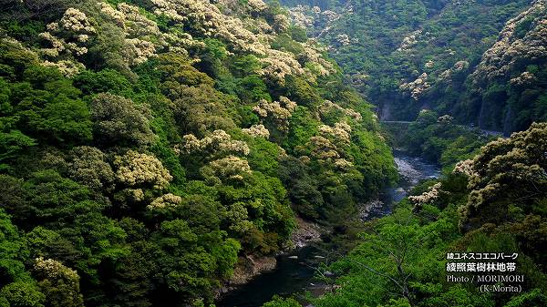 ���ξ��ռ�������