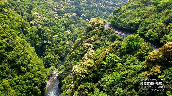 ���ξ��ռ�������