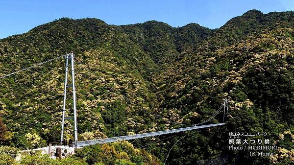 �� ������Ĥ궶