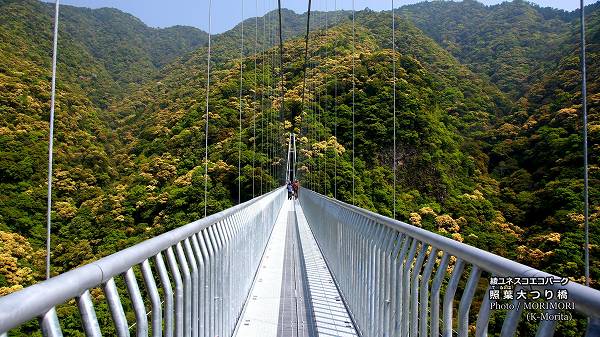 �� ������Ĥ궶