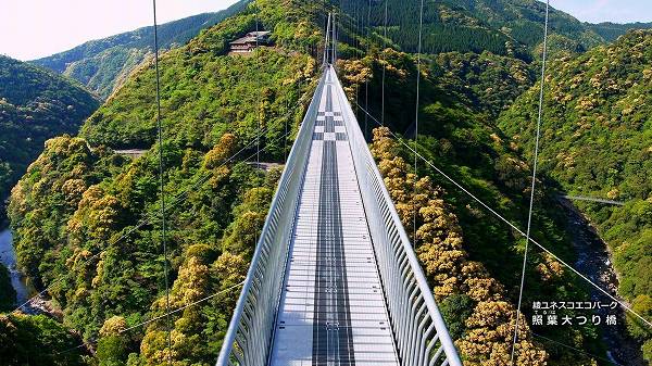 �� ������Ĥ궶